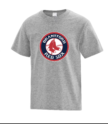 Youth Grey Red Sox T-Shirt